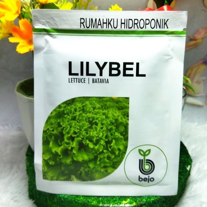 Benih Bibit Selada LILYBEL Kemasan 1000 Pills | Bejo Seed