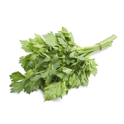 

Seledri Segar Hemat 50 Gram