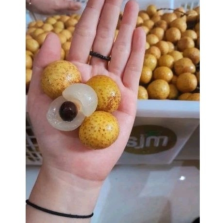 

Kelengkeng Manis 1kg