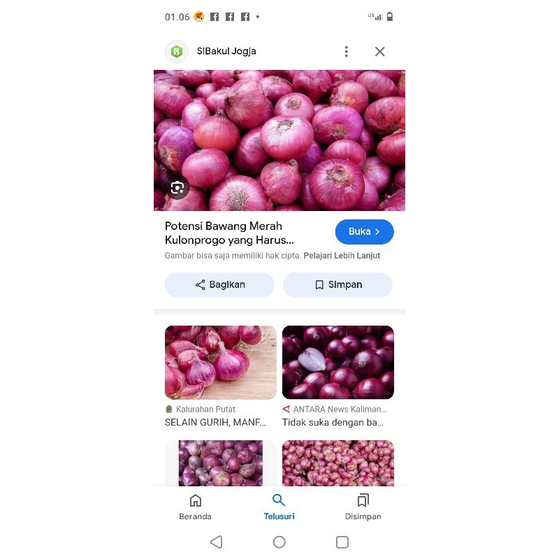 

bawang merah