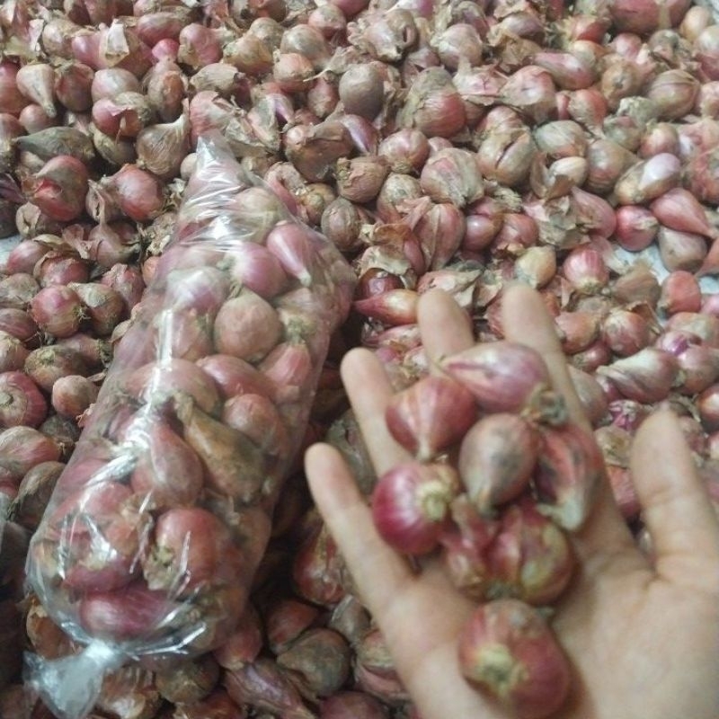 

bawang merah