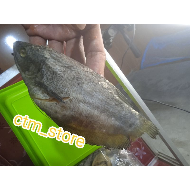 

ikan asin sepat 1kg