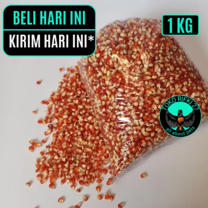 JAGUNG MERAH KRISTAL CILILIN SUPER PAKAN BURUNG MERPATI PAKAN AYAM DAN UNGGAS KEMASAN REPACK
