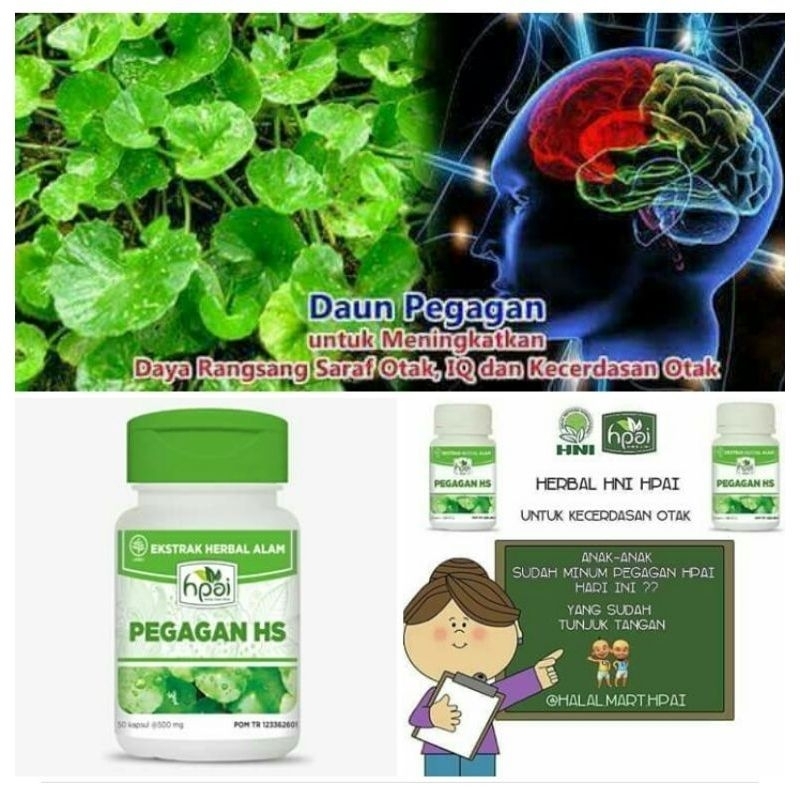 PEGAGAN HNI ORI