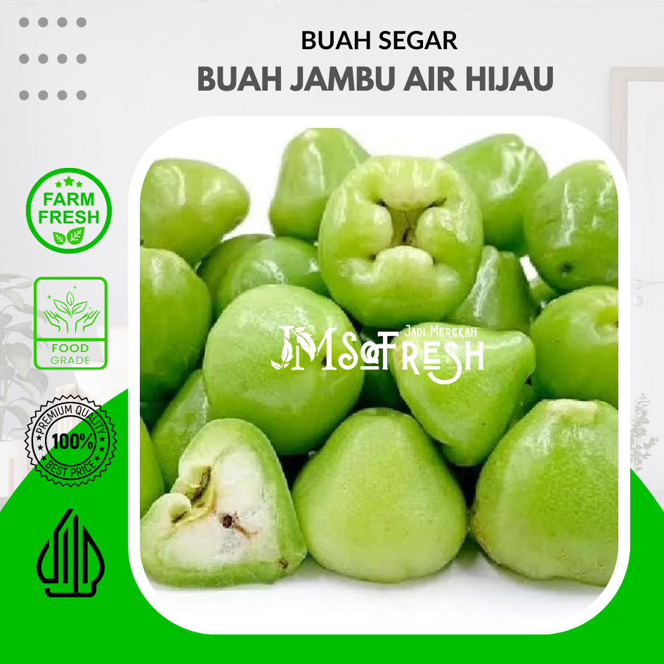 

[JM_SoFresh] Buah Segar Jambu Air Taiwan Super / Cincalo hijau