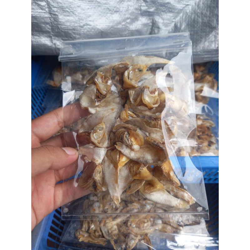 

Mentahan Ikan Asin Bulu Bebek/Mentok Khas Kenjeran Surabaya