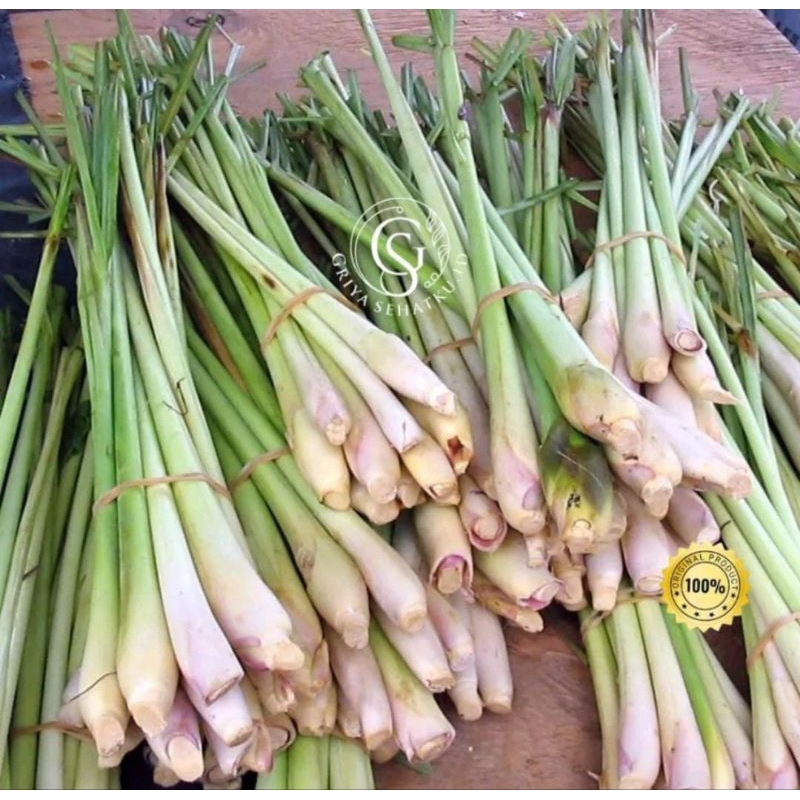 

RB22 RAMUAN BIDADARI ULTIMATE JSR 100% TEH RIMPANG MURNI TANPA CAMPURAN