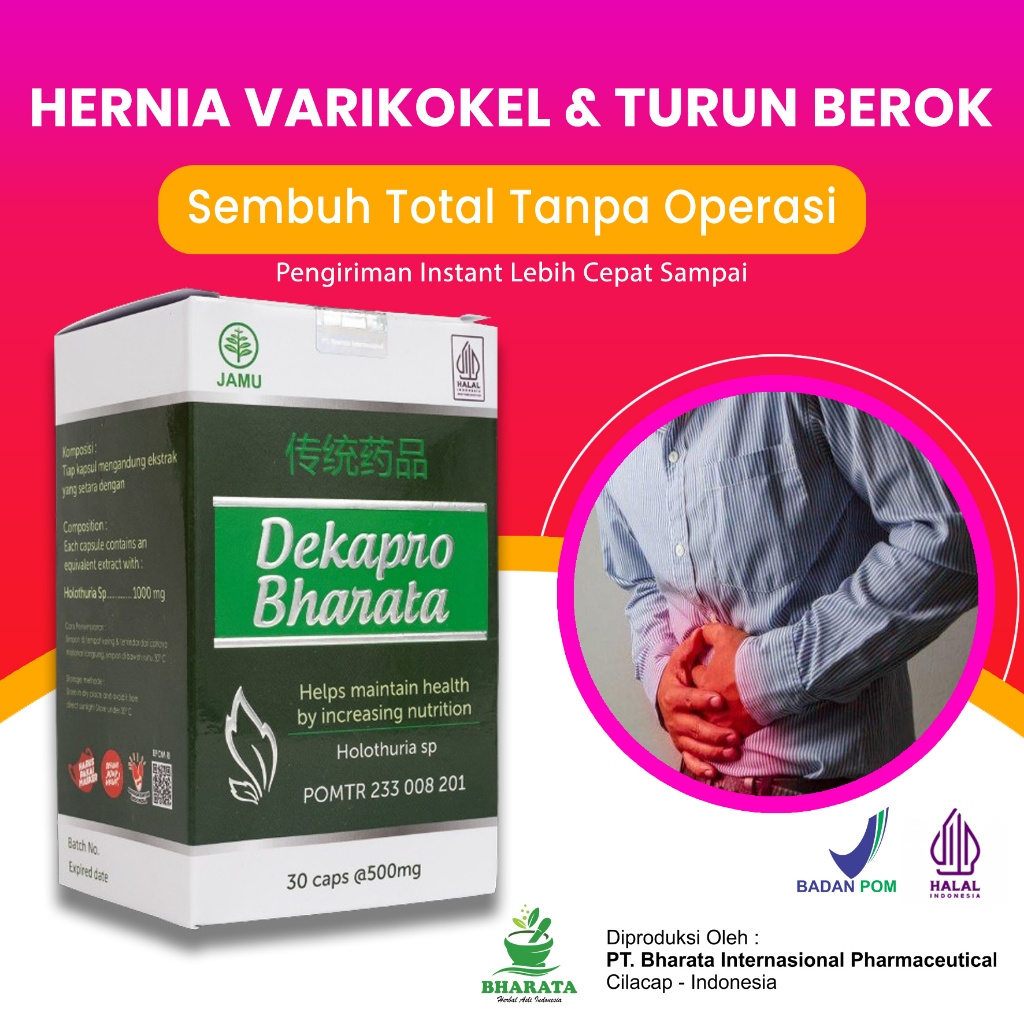 Obat Hernia Varikokel Turun Berok Pria Wanita Dekapro Bharata Asli 100% Original