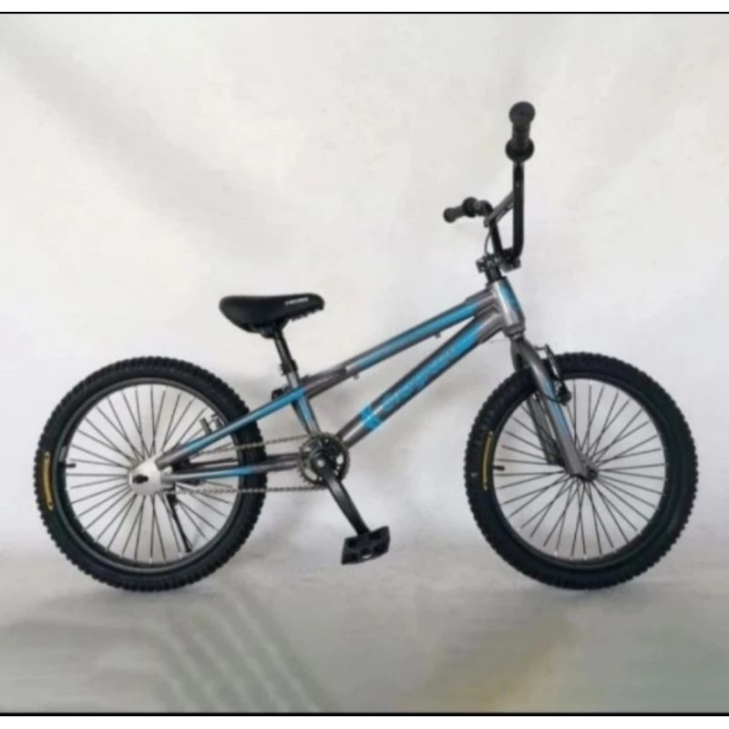 Sepeda Anak BMX 20 inch Evergreen Torpedo