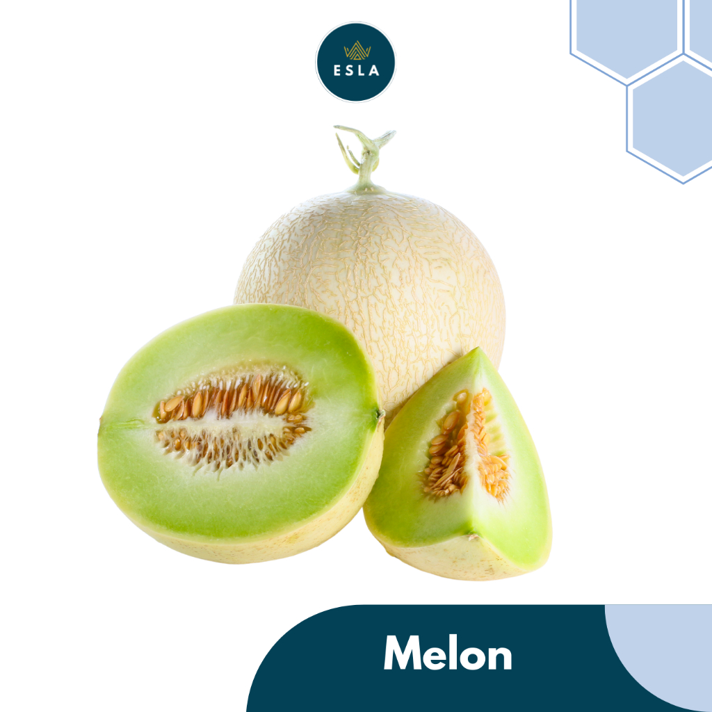 

MELON (1 BUAH) I Buah Fresh dan Premium - ESLA