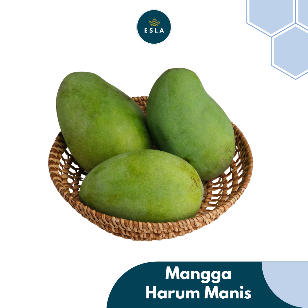 

MANGGA HARUM MANIS I Buah Fresh dan Premium - ESLA