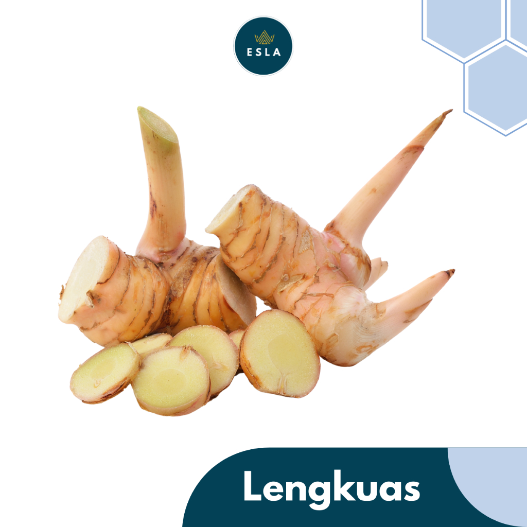 

LENGKUAS I Fresh dan Premium - ESLA