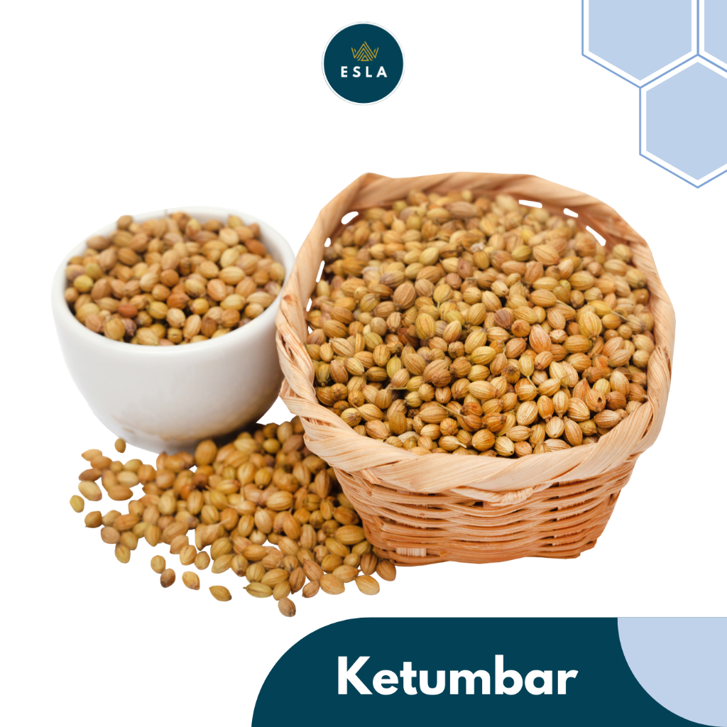 

KETUMBAR I Rempah Fresh dan Premium - ESLA