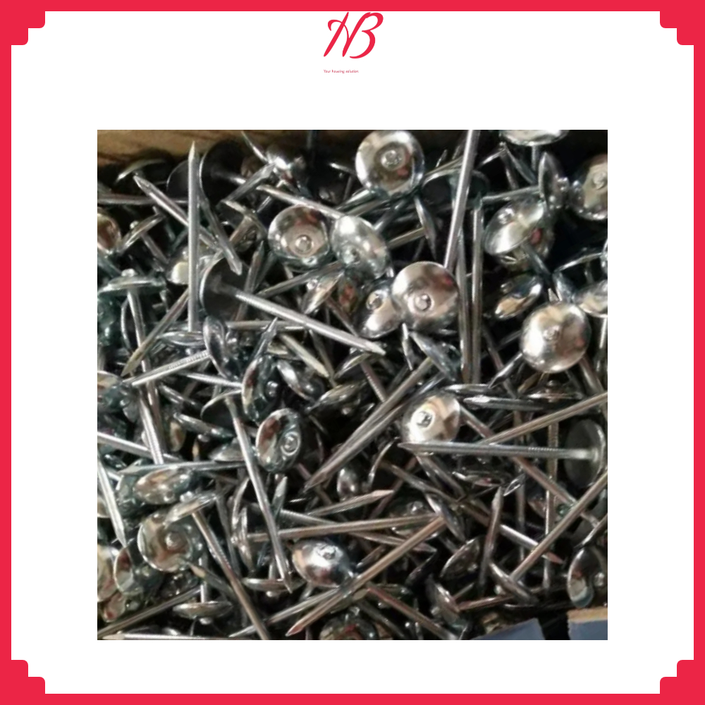 Paku Payung / Paku Seng / Paku Payung Seng Ukuran 2 Inci / 2½ Inci (2" / 2½")