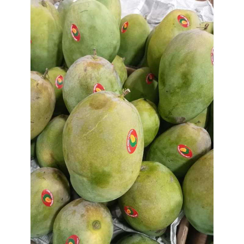 

mangga harum manis super 5 kg