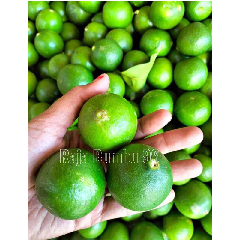 

JERUK NIPIS 500 gr, 250gr