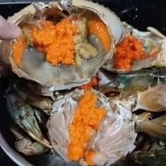 

Kepiting Telor Fresh (1Kg)