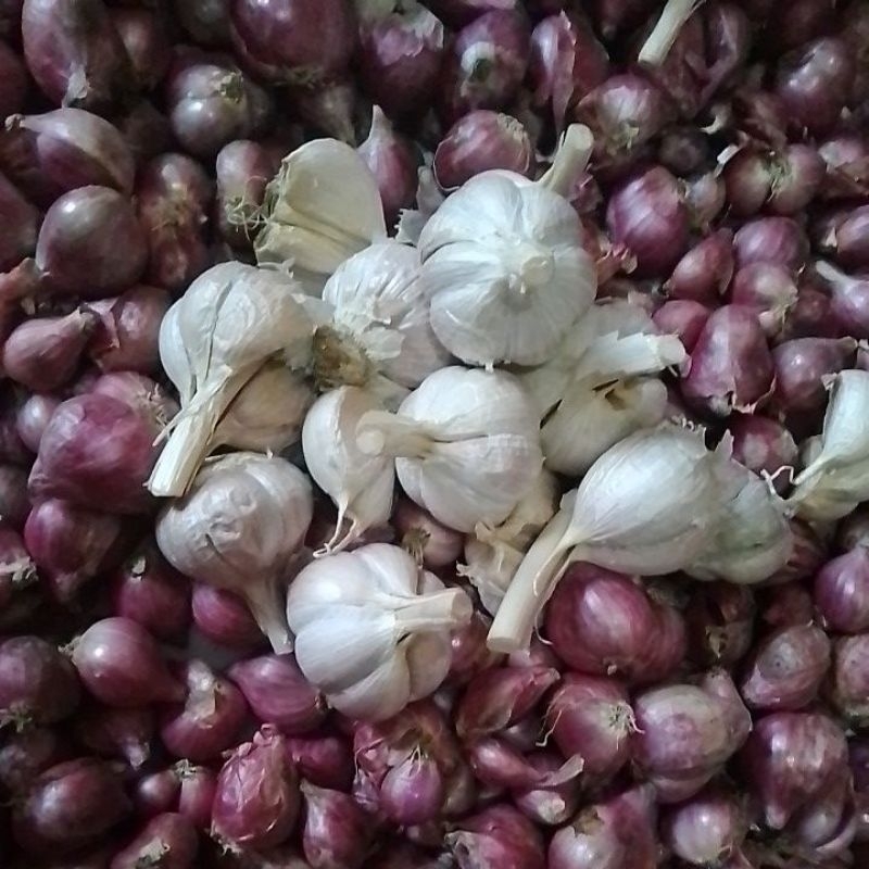 

kating bamer mix 500 gram per @250 gram