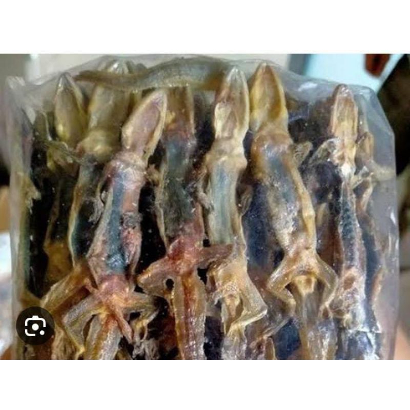 

Cicak Kering Obat Herbal Tradisional Murah Bersih 50 Gram Siap Konsumsi