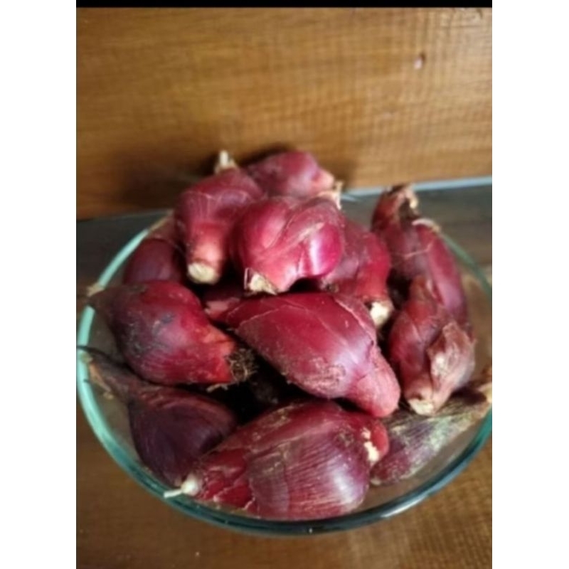 

bawang Dayak Kalimantan segar fresh dari hutan 1kg