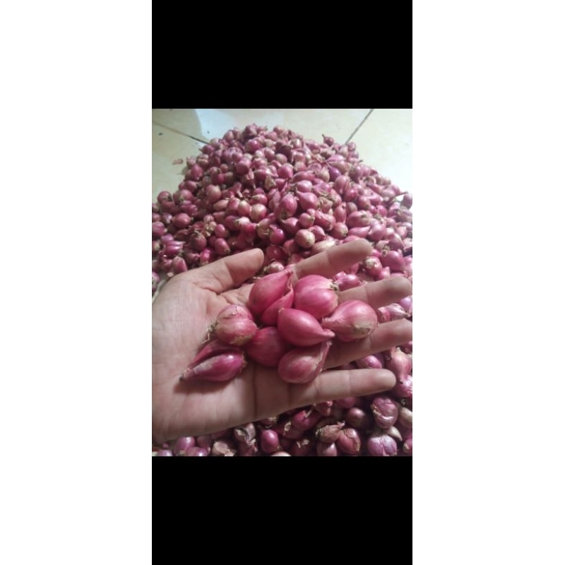 

Bawang merah brebes 1kg Rp 25.000