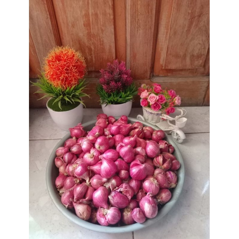 

BAWANG MERAH 500 Gram,KUALITAS TERBAIK,KERING,MURAH