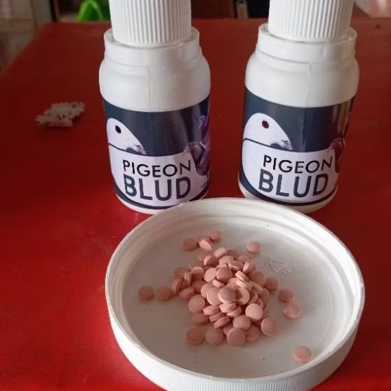 BLUD VETAFARM DOPING MERPATI PADA SAAT LOMBA