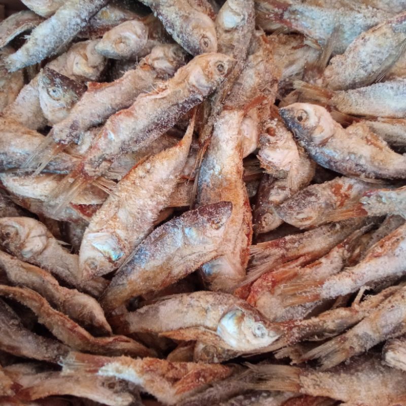 

Ikan Asin H. O - Kolontong
