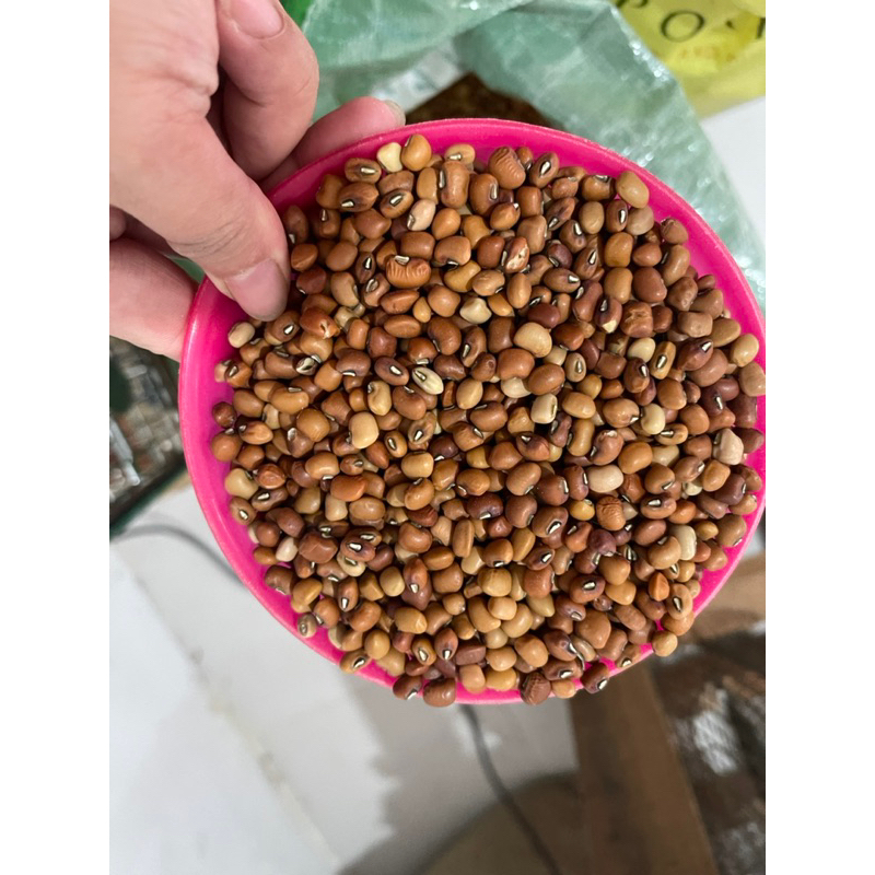 

Kacang Tunggak / Kacang Tolo 500gram