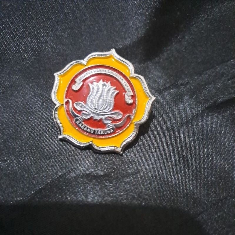 pin KARANG TARUNA
