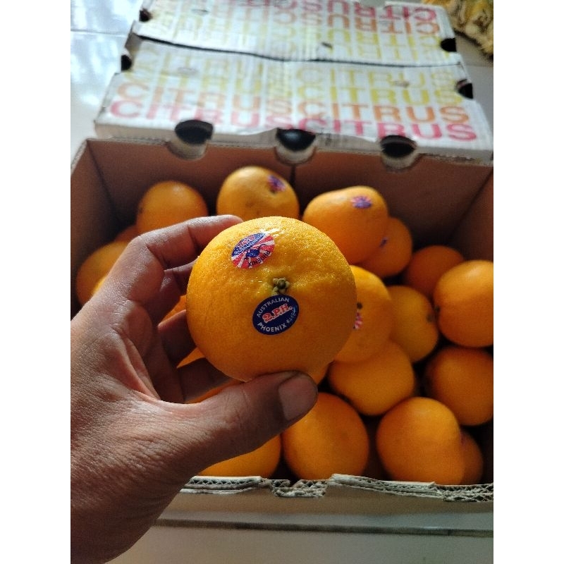 

jeruk kupas mandarin import /box