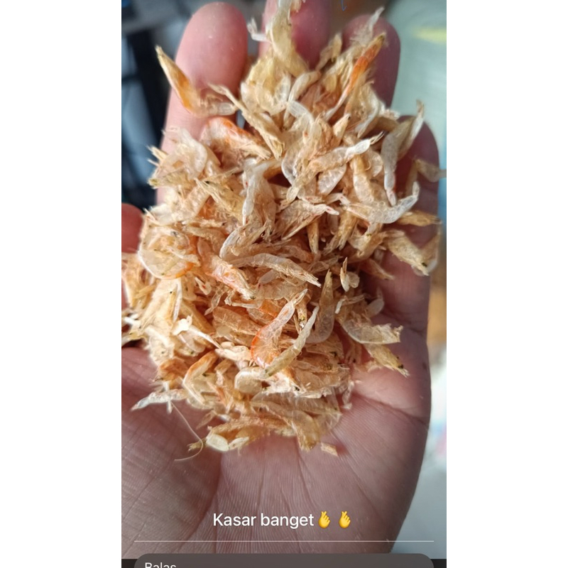 

udang rebon tawar ( kering dan tidak asin )= 500 gram