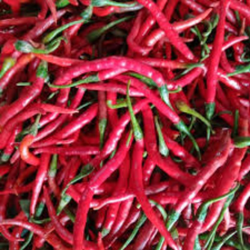 

cabe merah keriting 5kg