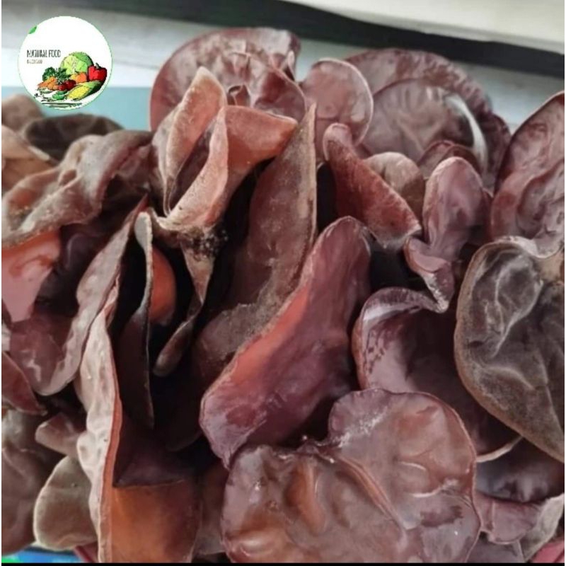 

jamur kuping - hitam, fresh - 250gr
