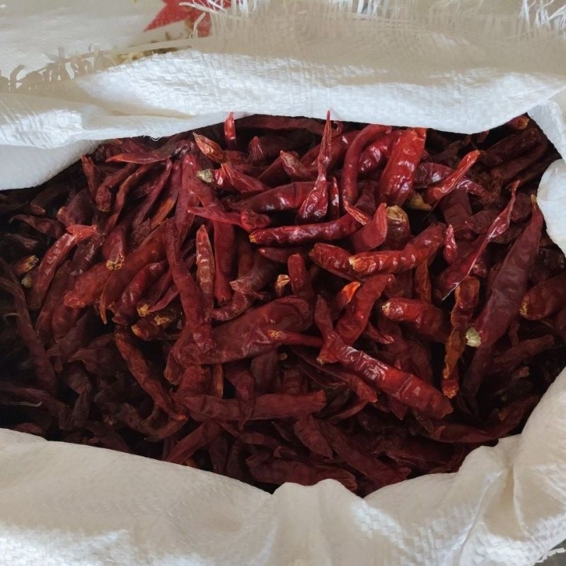 

cabe kering impor
