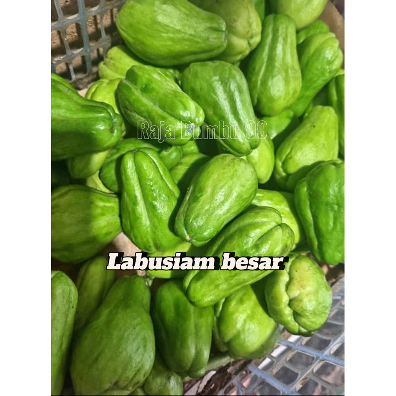 

LABUSIAM BESAR 1kg