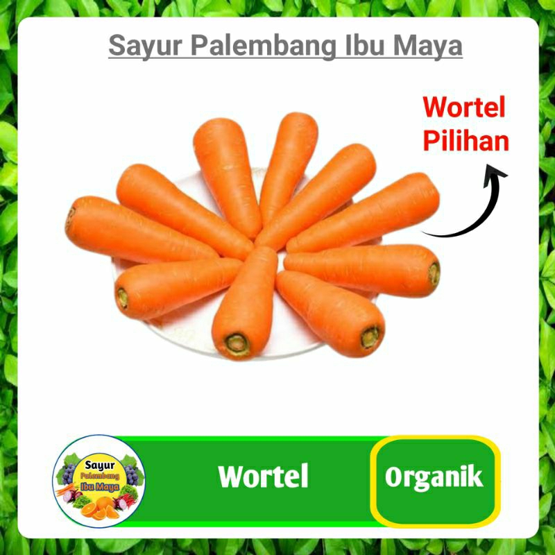 

Wortel Segar Organik - Bumbu Sayur Mayur Palembang