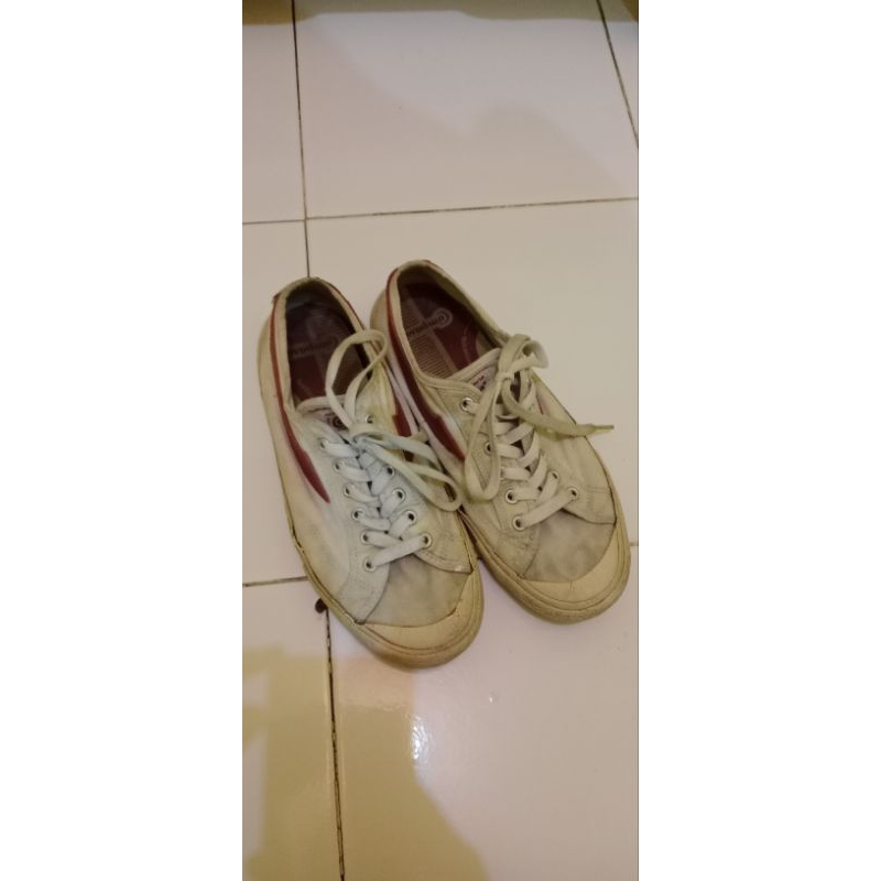 compass gazelle second