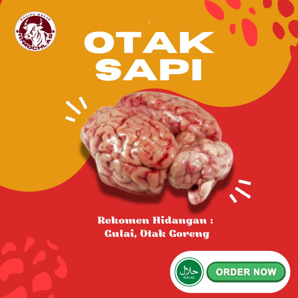 

[FREE BUMBU] OTAK SAPI 1 PCS
