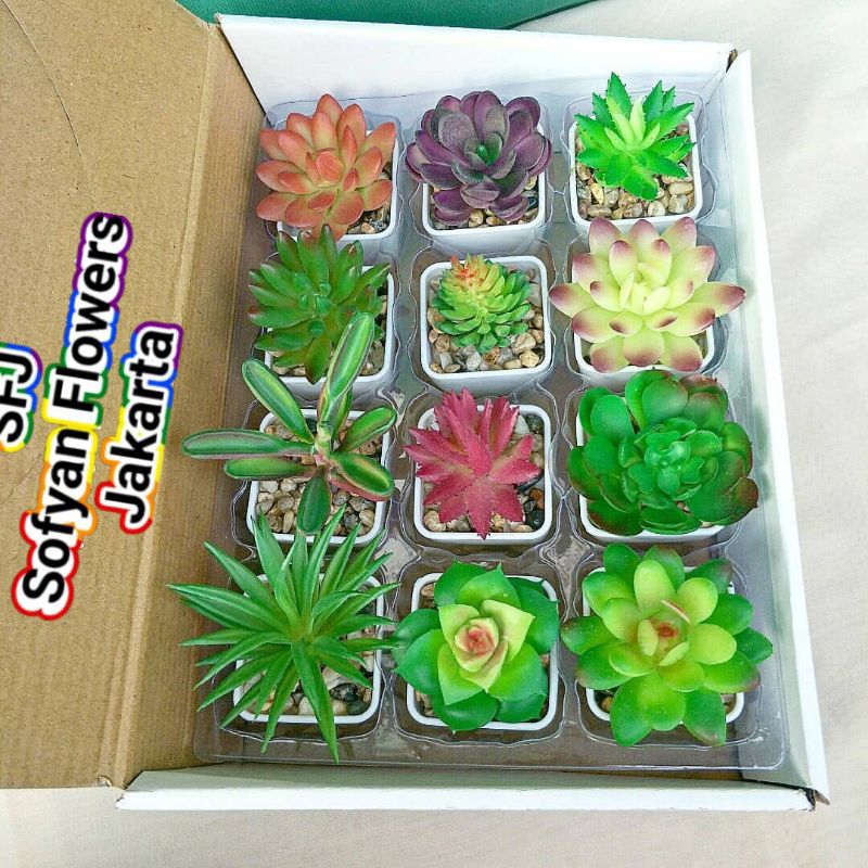 KAKTUS LATEX MINI KAKTUS ARTIFICIAL PAJANGAN BUNGA KAKTUS TANAMAN SUKULEN TANAMAN HIAS KAKTUS HIAS B