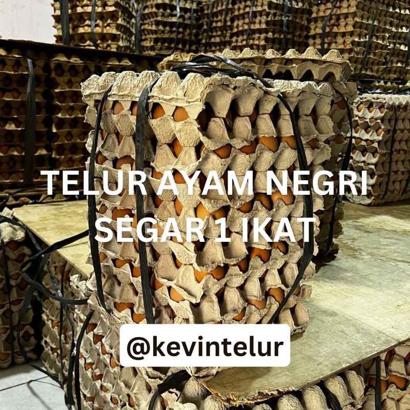 

TELUR AYAM NEGRI SEGAR 1 IKAT (15 KG)