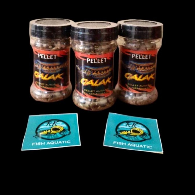 Pelet Galak Mangap Mangap Pakan Channa Auranti