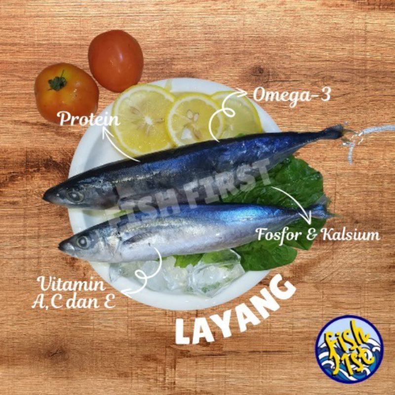 

Ikan layang fresh Frozen / ikan layang beku segar