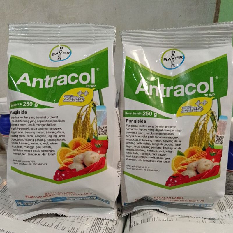 ANTRACOL 70 WP 250 GRAM