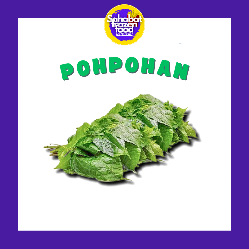 

Daun Pohpohan / Sayur PokPohan Segar 1 Ikat