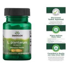 READY STOK] Swanson Lactobacillus Plantarum Suplemen Pencernaan Usus Kembung Ori US