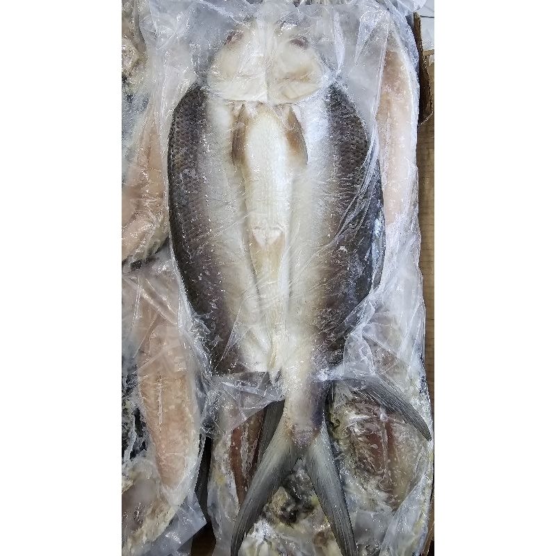 

Bandeng tanpa duri 1kg