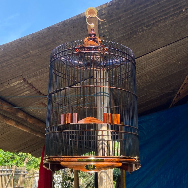 SANGKAR MURAI SONOKELING CEPER FEE ONGKIR PULAU JAWA