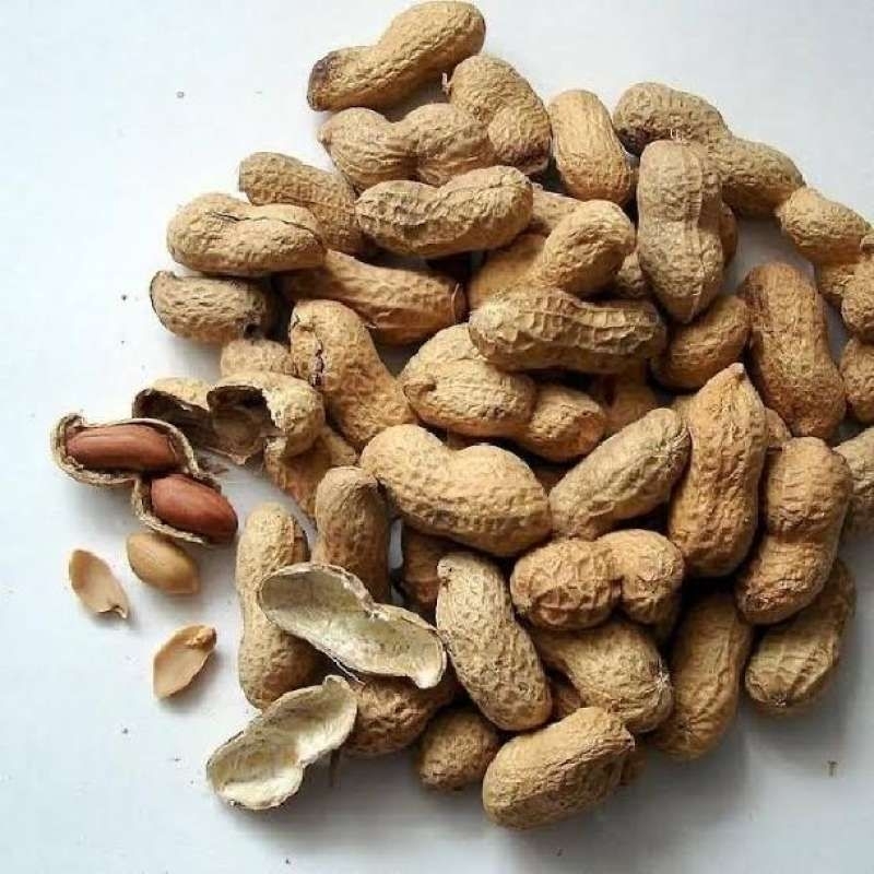 

Kacang Tanah Pilihan