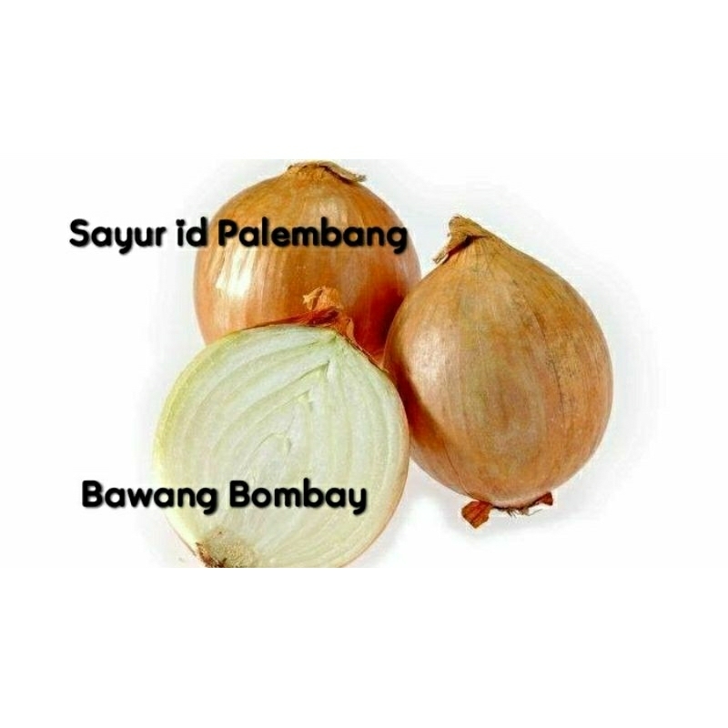 

[ DIKIRIM INSTAN ] Bawang Bombay - Sayur id Palembang